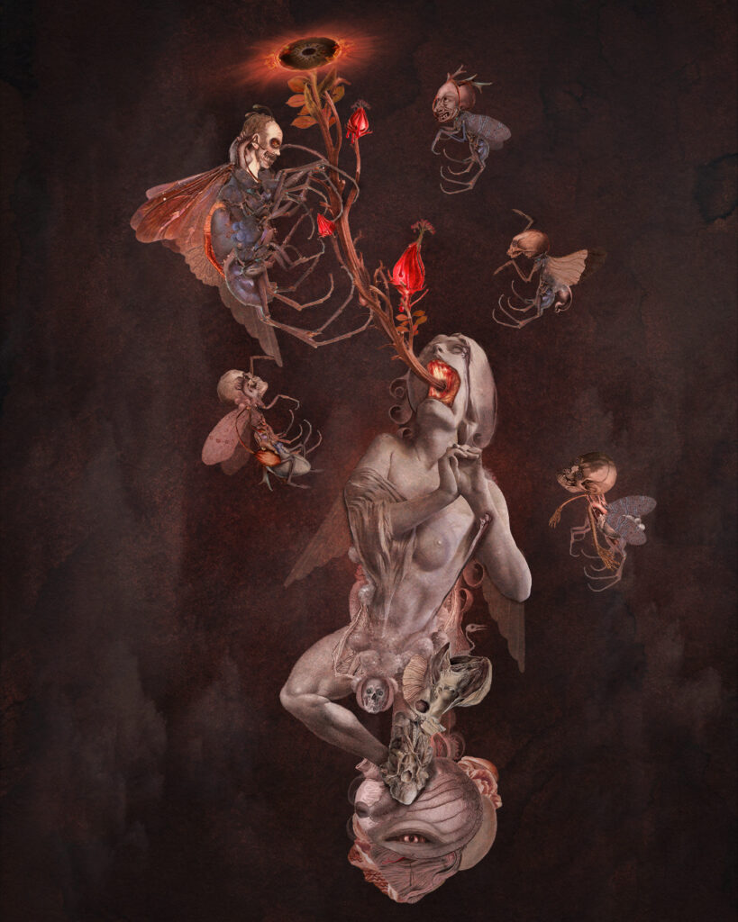 Hollow Nourish