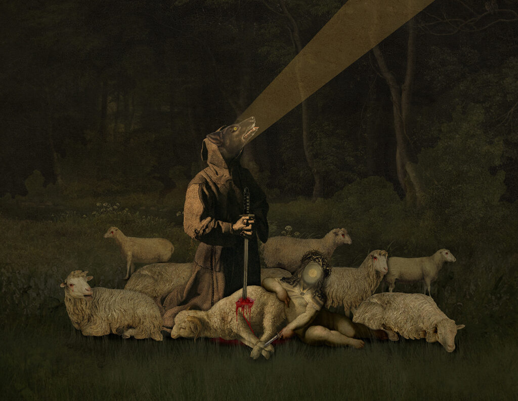 Amongst Sheep